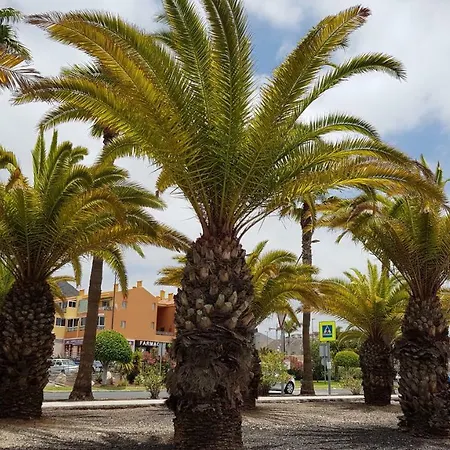 Apartment Los Cristianos Valdes Center 3